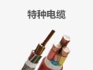 特种熊猫直播平台官网